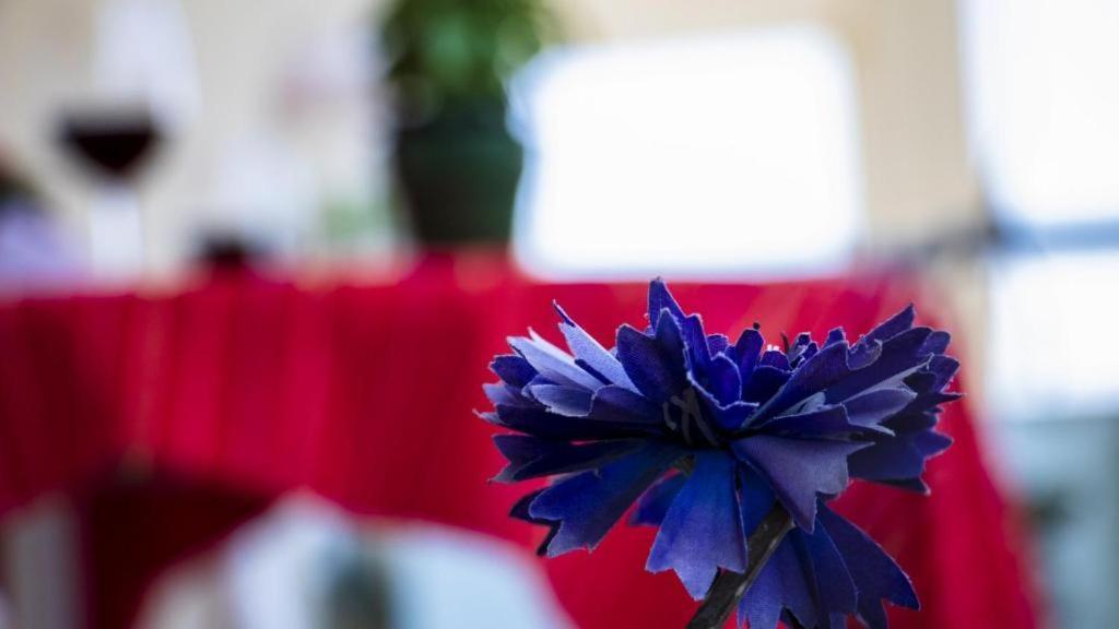 Evas House Daire Resmo Dış mekan fotoğraf